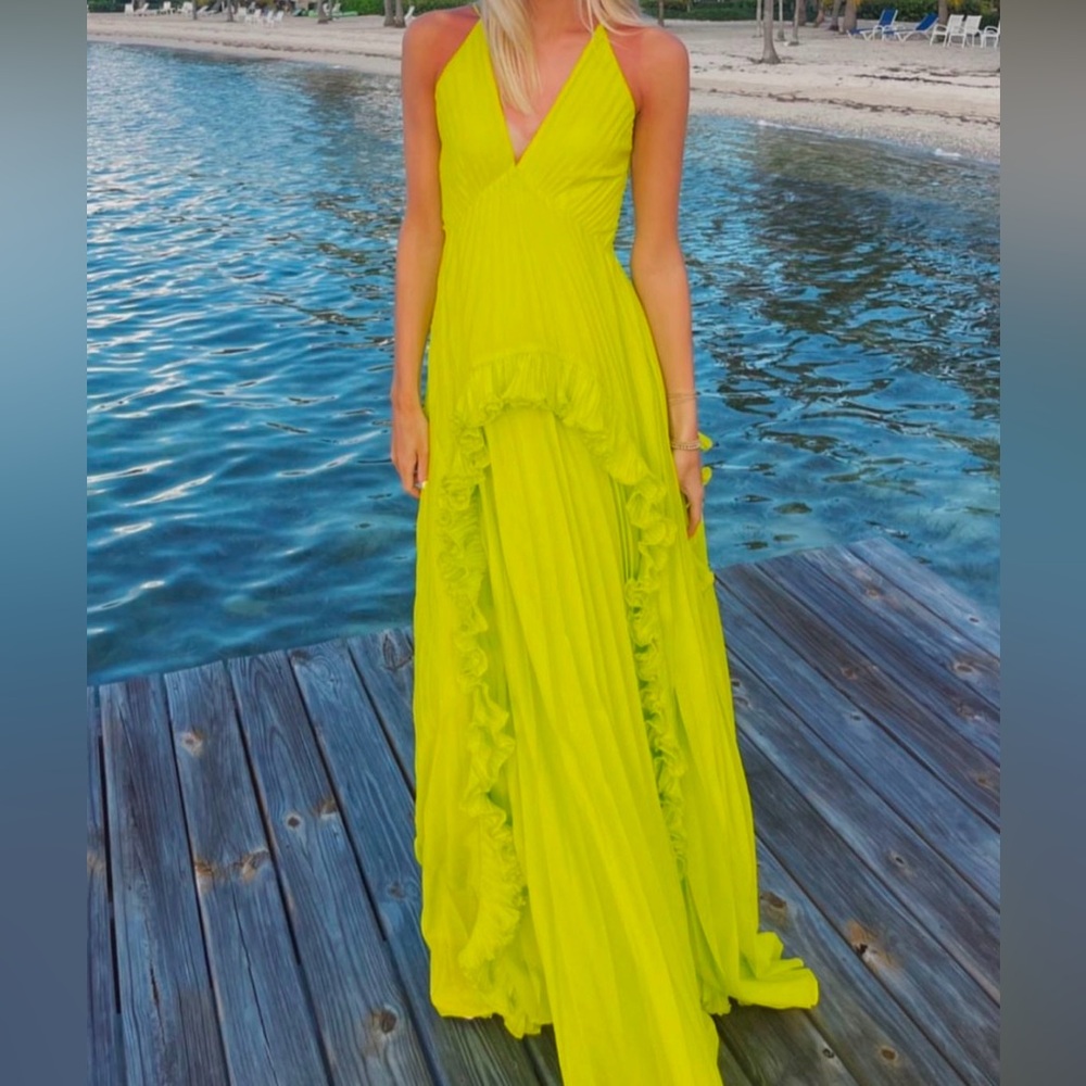 Halston Heritage Pleated Gown